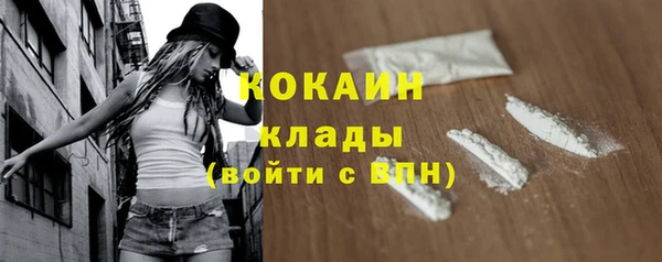 прущий лед Алзамай