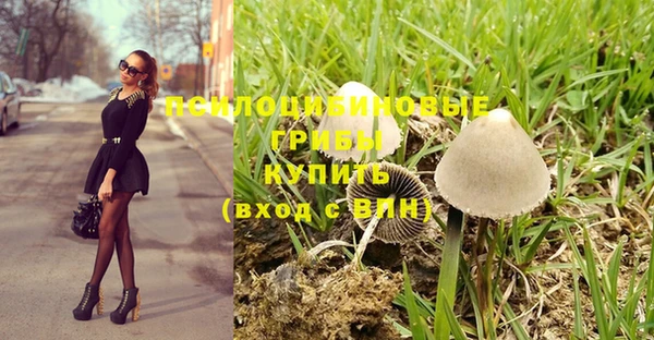 прущий лед Алзамай