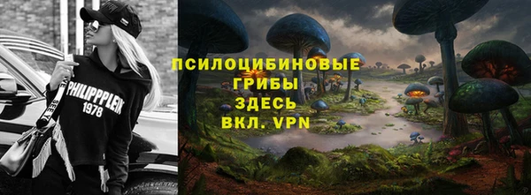 ГАЛЛЮЦИНОГЕННЫЕ ГРИБЫ Алексеевка