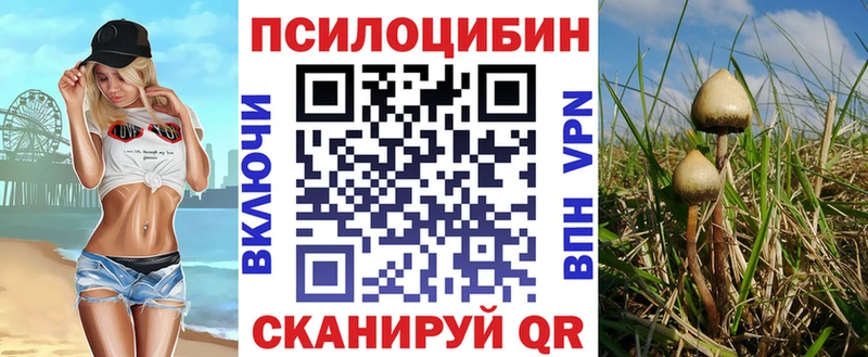 ОМГ ОМГ рабочий сайт  Себеж  Псилоцибиновые грибы Cubensis 