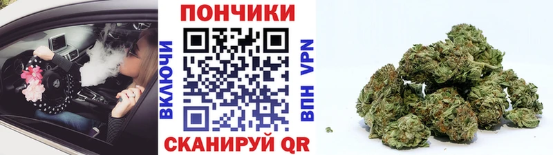 Шишки марихуана THC 21% Себеж