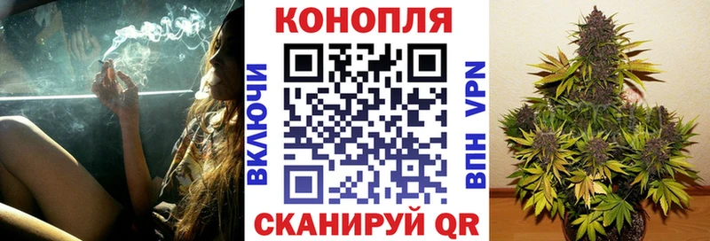kraken как зайти  Себеж  Бошки Шишки White Widow 